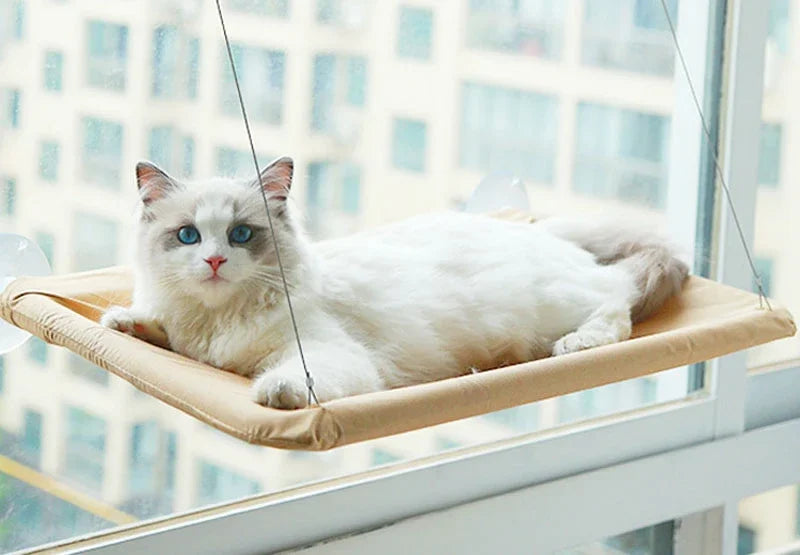 Cat Hammock