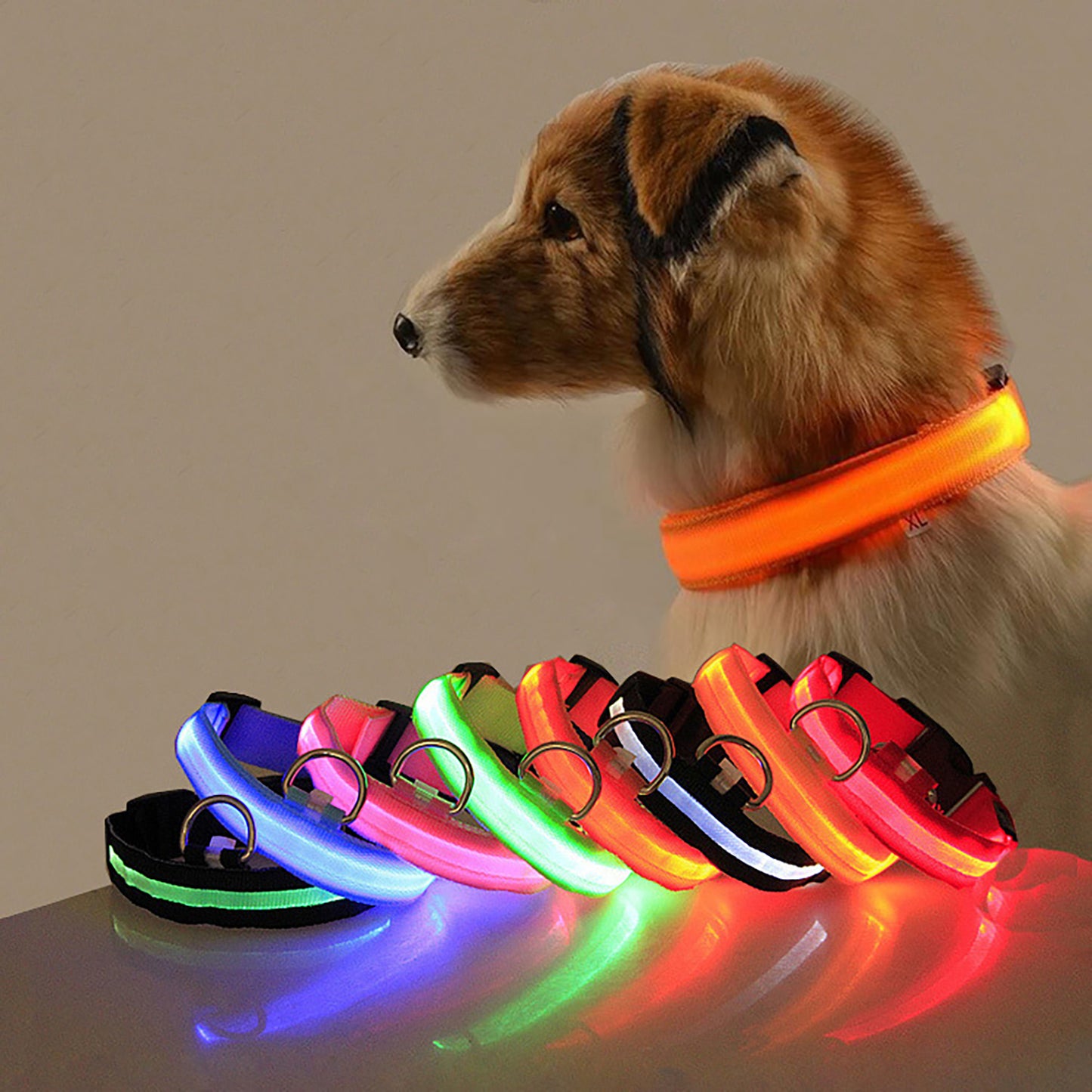 Dogs Adjustable Luminous Collar