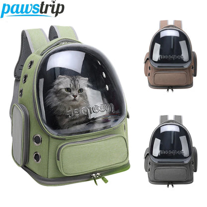 Transparent Pet Cat Carrier