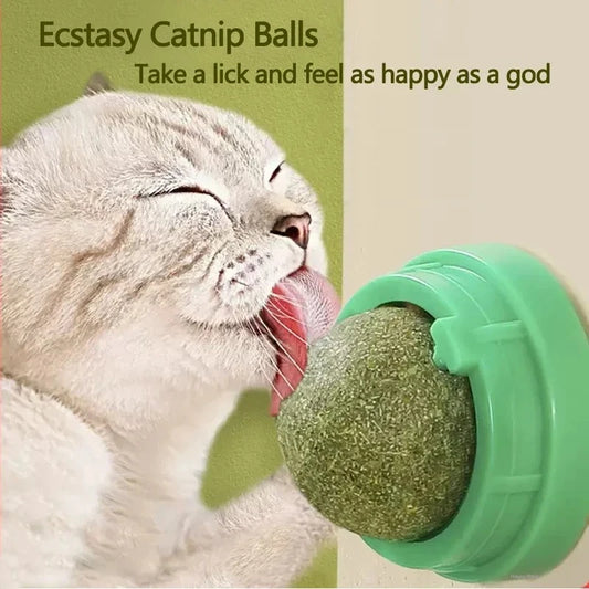 Natural Catnip Scratching Post for Cats