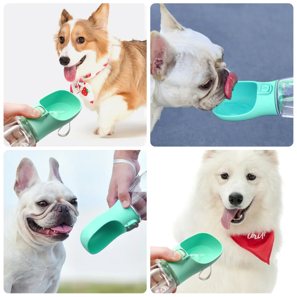 Portable Dog Water Bottle For Small and Large Dogs