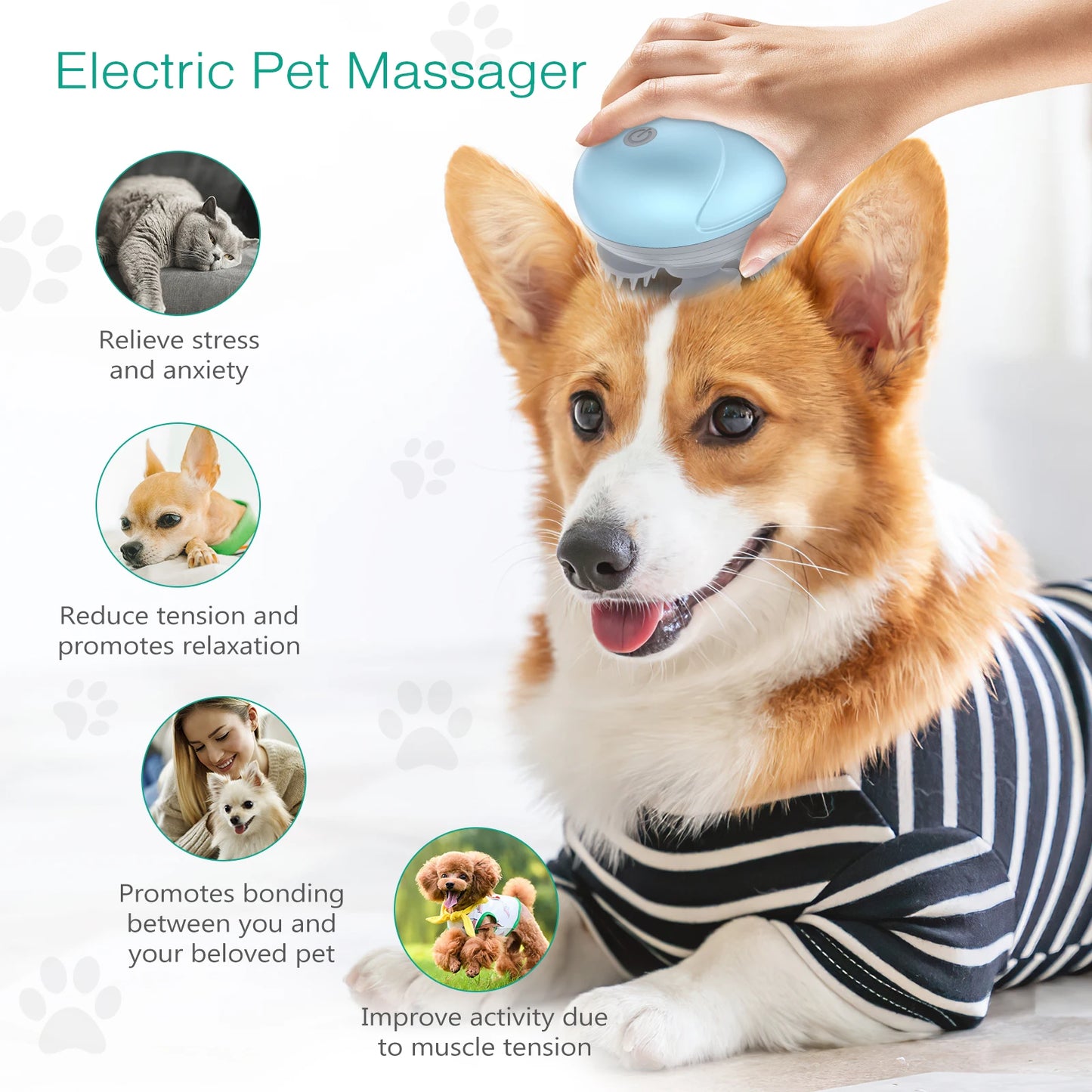 Handheld Pet Massager