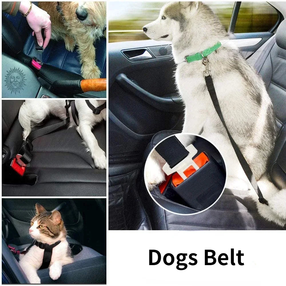 Adjustable Pet Cat Dog Car Seat