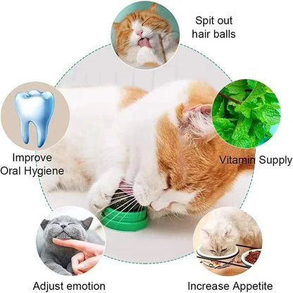 Natural Catnip Scratching Post for Cats